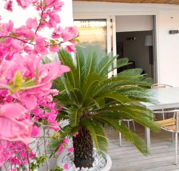 B&B Interno 3 باري المظهر الخارجي الصورة